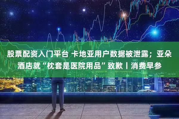 股票配资入门平台 卡地亚用户数据被泄露；亚朵酒店就“枕套是医院用品”致歉丨消费早参