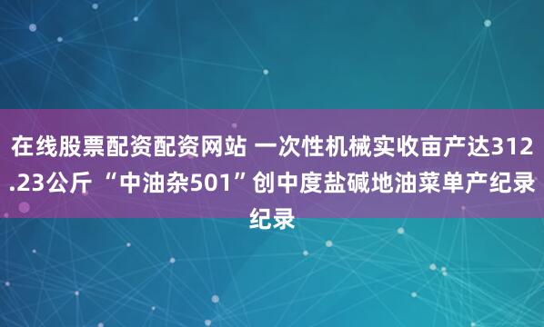 在线股票配资配资网站 一次性机械实收亩产达312.23公斤 “中油杂501”创中度盐碱地油菜单产纪录