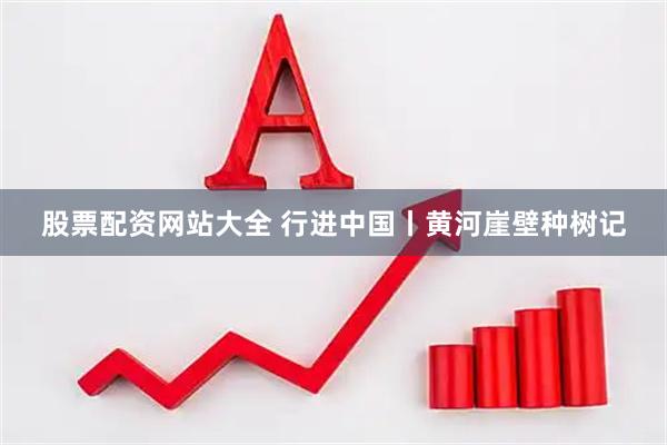 股票配资网站大全 行进中国丨黄河崖壁种树记